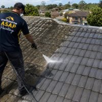 roof cleaning
